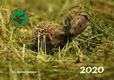 ZESPOL KARPACKICH PARKOW KRAJOBRAZOWYCH kalendarzyk 2020 firmowka 4 4_a